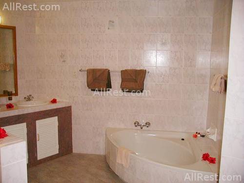 Black Parrot Suites Superior 7